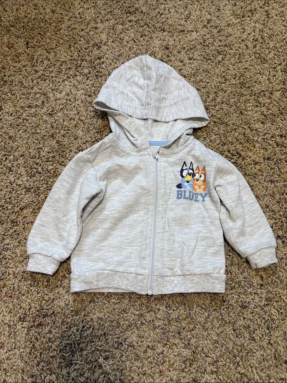 Light Gray 'Bluey' Character Zip Hoodie for Kids